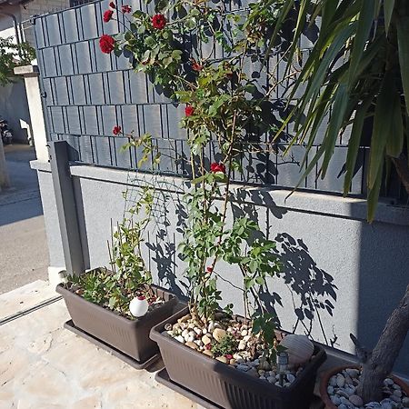 Apartman Lara Zadar Apartamento Exterior foto